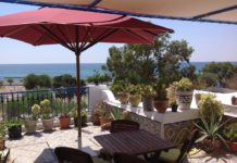 Hammamet : Maison d’hôte Dar Biba Prix, Avis, contact & informations