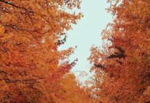 Inspiration : Beaverton, Oregon. Photo: @ianandrewnelson #beaverton #orego …