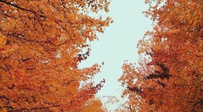 Inspiration : Beaverton, Oregon. Photo: @ianandrewnelson #beaverton #orego …