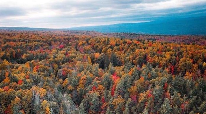Inspiration : Catskill Mountains. Photo: @ryanresatka #catskillmountains …..