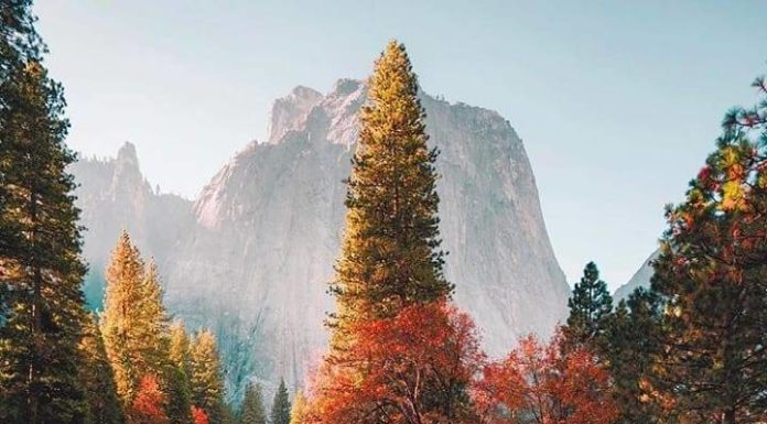 Inspiration : Parc National de Yosemite. Photo: @ erubes1 #nature #landscape …..