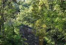 Inspiration : Photo: @luca_s_photo #nature #landscape #scenery #explore …