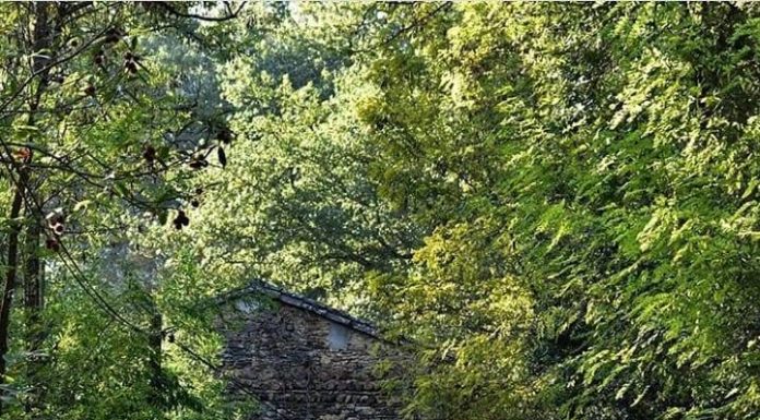 Inspiration : Photo: @luca_s_photo #nature #landscape #scenery #explore …