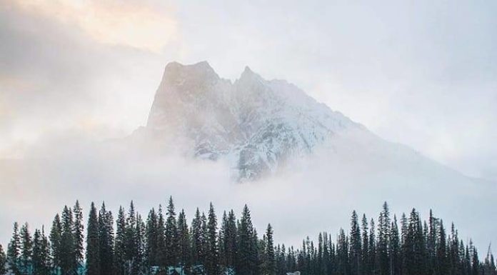 Inspiration : Emerald Lake Lodge. Photo: @ clo.photo #emeraldlake #nature …..