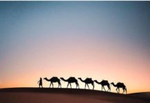 Inspiration : Désert du Sahara, Maroc. Photo: @emmett_sparling #morocco #sa …