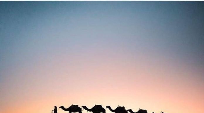 Inspiration : Désert du Sahara, Maroc. Photo: @emmett_sparling #morocco #sa …