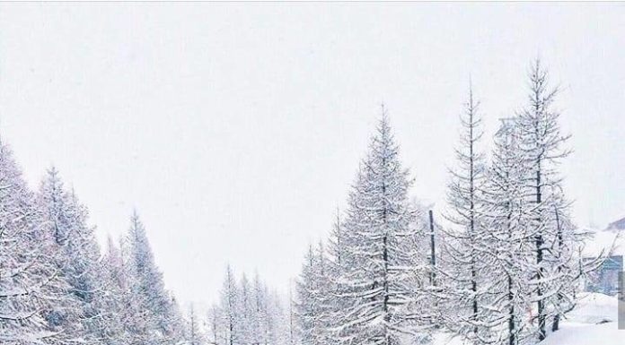 Inspiration : Zermatt Cervin. Photo: @nicolehunziker #zermatt #nature ….