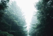 Inspiration : Fleuve Columbia. Photo: @snickersv #columbiariveegorge #natur …