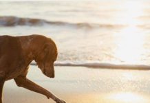 Inspiration : Basse Californie du Sud, Mexique. Photo: @thiswildidea …