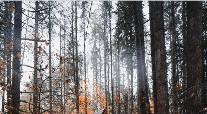 Inspiration : Skykomish, Washington. Photo: @zmelhus #skykomish #washingto …