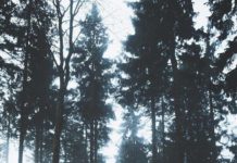 Inspiration : Taunus. Photo: @ pelle.faust #taunus #nature #landscape #scen …