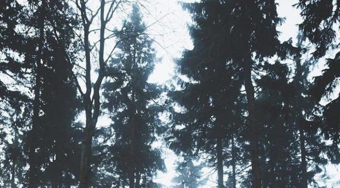 Inspiration : Taunus. Photo: @ pelle.faust #taunus #nature #landscape #scen …