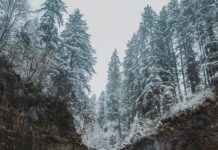 Inspiration : Oregon. Photo: @monascherie #oregon #nature #landscape #scen …