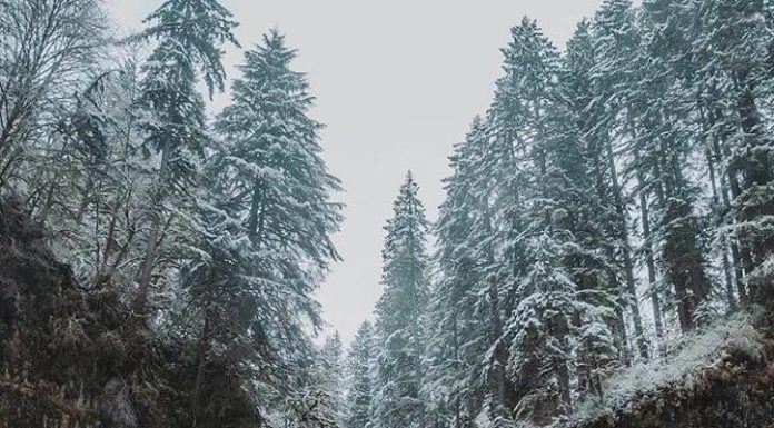 Inspiration : Oregon. Photo: @monascherie #oregon #nature #landscape #scen …