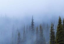 Inspiration : Photo: @nathanaelbillings #nature #landscape #scenery #explo …