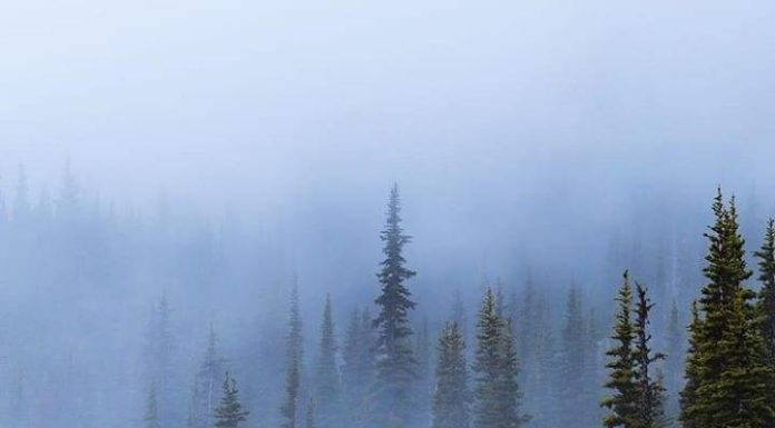 Inspiration : Photo: @nathanaelbillings #nature #landscape #scenery #explo …