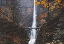 Inspiration : Chutes de Multnomah, gorge de la rivière Columbia, Oregon. Photo: @zackk …