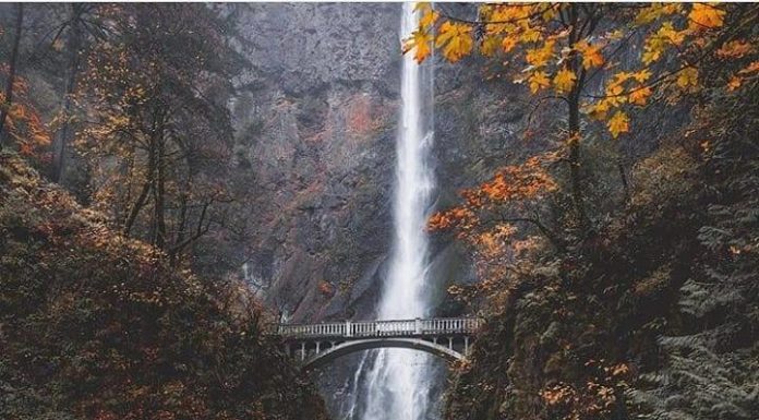 Inspiration : Chutes de Multnomah, gorge de la rivière Columbia, Oregon. Photo: @zackk …