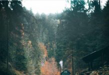 Inspiration : Hrensko. Photo: @ _andre.diaz #hrensko #nature #landscape …