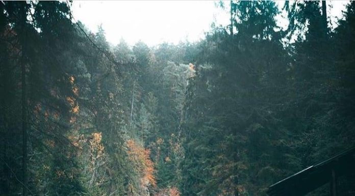 Inspiration : Hrensko. Photo: @ _andre.diaz #hrensko #nature #landscape …