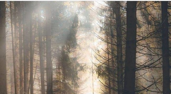 Inspiration : Suisse saxonne. Photo: @tom_juenemann #saxonswitzerland …..