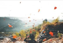 Inspiration : Bastei. Photo: @tom_juenemann #bastei #nature #landscape …