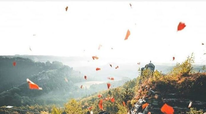 Inspiration : Bastei. Photo: @tom_juenemann #bastei #nature #landscape …