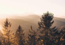 Inspiration : Montagnes carpates. Photo: @s__taras #carpathian_mountains …