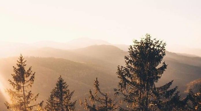 Inspiration : Montagnes carpates. Photo: @s__taras #carpathian_mountains …