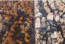 Inspiration : New York. Photo: @samalive #newyork #nature #landscape #scen …