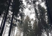 Inspiration : Photo: @karishashasha #wanderlog #nature #landscape #scenery