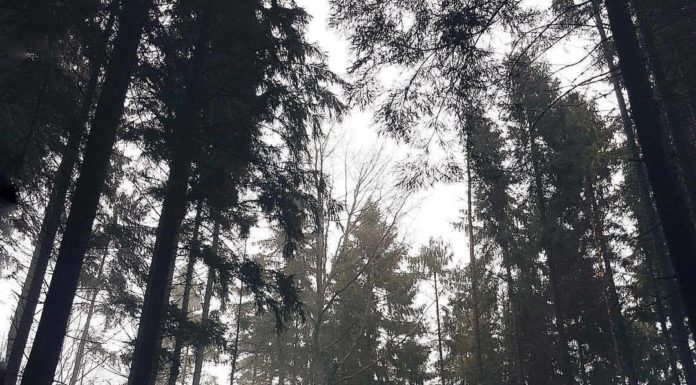 Inspiration : Photo: @karishashasha #wanderlog #nature #landscape #scenery