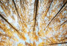 Inspiration : Boardman, Oregon