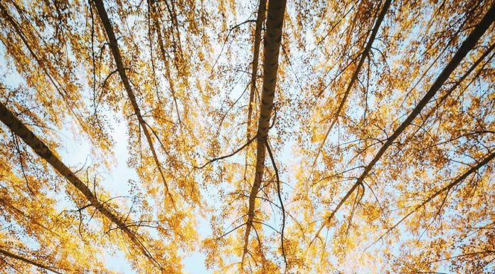 Inspiration : Boardman, Oregon