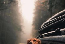 Inspiration : Photo: @milliethegolden #wanderlog #nature #natureporn …