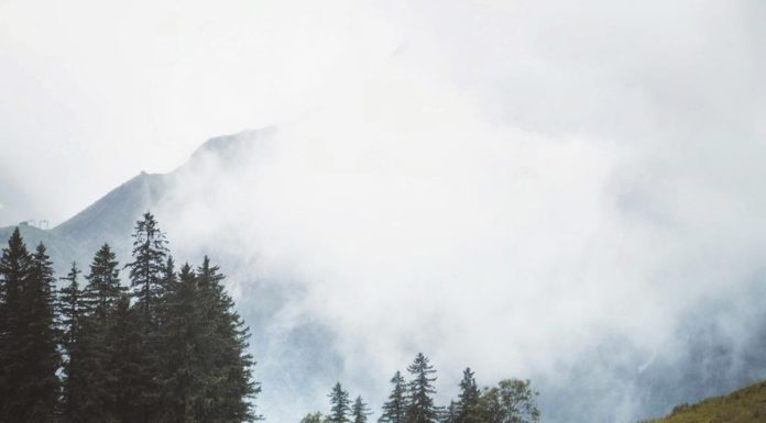 Inspiration : Seealpsee
wanderlog – photo blog