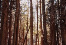 Inspiration : ⛺️