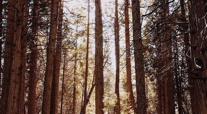 Inspiration : ⛺️