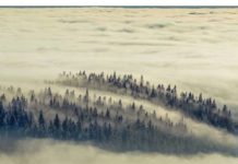 Inspiration : Allemagne. Photo: @riedler_rene #germany #nature #landscape …