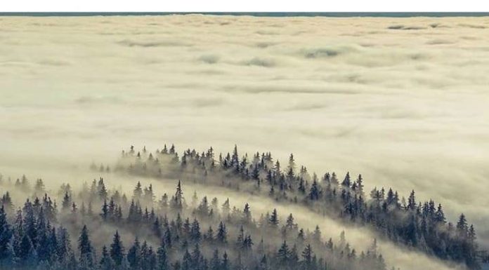 Inspiration : Allemagne. Photo: @riedler_rene #germany #nature #landscape …