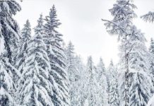 Inspiration : Chamonix, France. Photo: @tomklockerphoto #chamonix #france ….