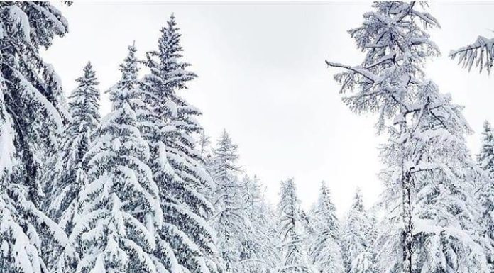 Inspiration : Chamonix, France. Photo: @tomklockerphoto #chamonix #france ….