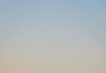 Inspiration : Forêt Noire. Photo: @milanjanik_ #nature #landscape #scener …