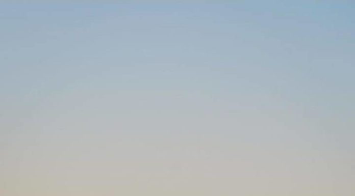 Inspiration : Forêt Noire. Photo: @milanjanik_ #nature #landscape #scener …