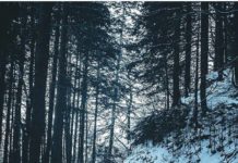 Inspiration : Bayern, Allemagne. Photo: @andrpic #bayern #germany #wanderlog …