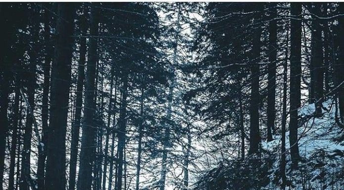 Inspiration : Bayern, Allemagne. Photo: @andrpic #bayern #germany #wanderlog …