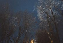 Inspiration : Minnesota. Photo: @elbunt #minnesota #wanderlog #nature …