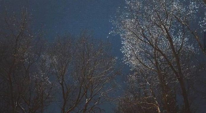 Inspiration : Minnesota. Photo: @elbunt #minnesota #wanderlog #nature …