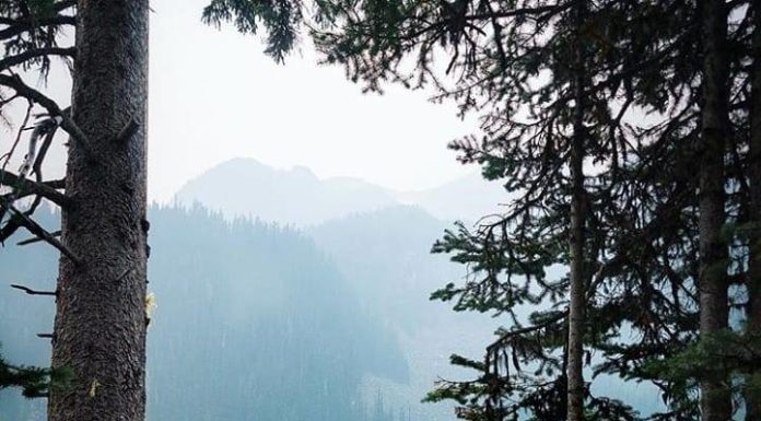 Inspiration : Colombie britannique. Photo: @ jess.wandering #britishcolumbia …