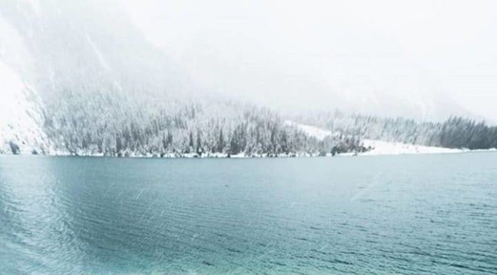 Inspiration : Plansee, Tyrol, Autriche. Photo: @tom_juenemann #plansee #tir …